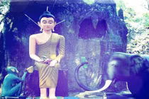 Lợi dưỡng quá nặng