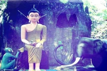 Lợi dưỡng quá nặng