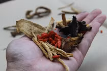 Sinh mạch tán chữa bệnh tim