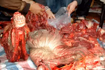 Thịt ngựa lý tưởng cho người ăn kiêng