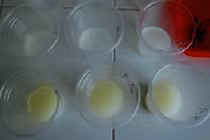 Chế phẩm sinh học trừ sâu hại rau màu 