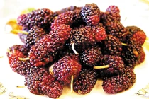 Dâu chín bổ gân cốt