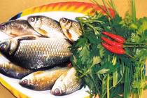 Canh cá diếc ngải cứu giúp phục hồi sức khoẻ 