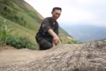 Lý giải ý nghĩa những hình khắc lạ lùng trên đá