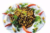 Nhộng tằm cải thiện chứng chậm lớn, còi xương