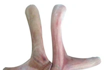 Tác dụng của nhung hươu