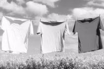 Quần áo phơi nắng to là đúng cách?