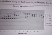 “Chửi cha không bằng pha tiếng”: Bí mật và sự thật