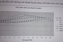 “Chửi cha không bằng pha tiếng”: Bí mật và sự thật