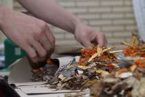 Chữa chứng ra nhiều mồ hôi ở trẻ