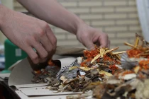 Chữa chứng ra nhiều mồ hôi ở trẻ