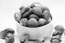 Nhiễm viêm gan virus A vì ăn sò sống