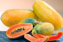 Đu đủ hỗ trợ chữa sỏi thận, sỏi mật