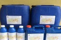 Màng bảo quản rau quả từ nhựa cây