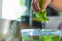 Rửa rau quả bằng máy sục ozone thế nào là đúng cách?