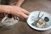 Tận mắt “túi phép” của thầy mo đất Mường