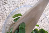 Suýt tử vong khi đắp lá chữa mụn nhọt