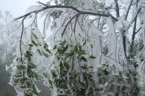 Việt Nam có những hiện tượng thủy văn nguy hiểm nào?