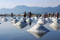 Nước biển mặn do đâu?