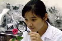 Nhà khoa học trẻ và chuyện cơm áo gạo tiền