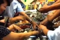 Sự dị biệt tạo nên thói xấu cho người Việt!