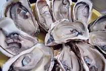 Thịt hàu giúp chữa ra mồ hôi trộm