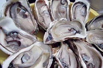 Thịt hàu giúp chữa ra mồ hôi trộm