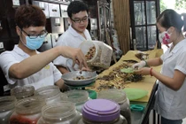 Dùng thuốc Đông y thế nào cho đúng?