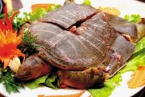 Ba ba giúp trị ung thư phổi