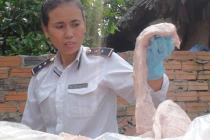 Giáp mặt Tuyết “lửa” - khắc tinh của các "trùm" buôn lậu