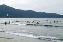 Tránh bị cá tấn công khi tắm biển