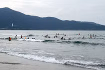 Tránh bị cá tấn công khi tắm biển