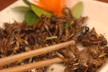 Ăn côn trùng ngon, bổ nhưng coi chừng mất mạng 