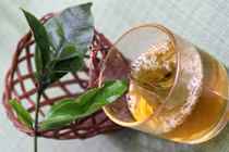 Tại sao uống nước chè xanh lại bị say?