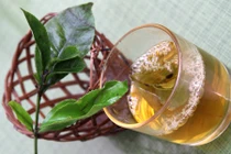 Tại sao uống nước chè xanh lại bị say?