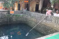 Huyền tích ba “cụ cá thần” nghìn năm tuổi ở giếng Ngọc 