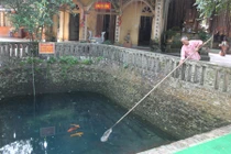 Huyền tích ba “cụ cá thần” nghìn năm tuổi ở giếng Ngọc 