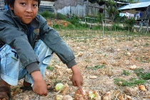 Không tự vệ trước Trung Quốc, chúng ta tự làm khó mình