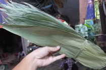 Người đàn bà trở thành tỷ phú nhờ nhặt lá tre