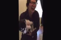 Chết cười với chú chó kêu như tiếng trẻ con