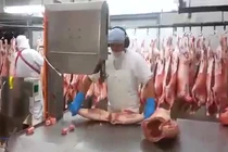 Xem công đoạn xẻ thịt lợn quá nhanh quá nguy hiểm