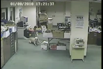 Ngạc nhiên khả năng dự báo động đất của loài chó