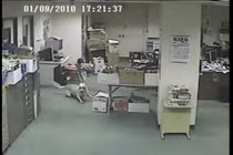 Ngạc nhiên khả năng dự báo động đất của loài chó