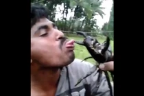 Trò nghịch dại không còn gì để nói