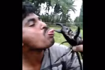 Trò nghịch dại không còn gì để nói