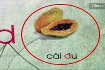 A đây rồi: Sách giáo khoa tiểu học và những lỗi sai điên rồ