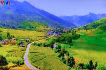 A Đây Rồi: Lùm xùm VTV và Yamaha Trung tá, ăn cắp... BTV còn la làng?