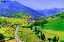 A Đây Rồi: Lùm xùm VTV và Yamaha Trung tá, ăn cắp... BTV còn la làng?