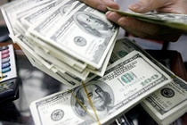 Ngân hàng NN công bố cách điều hành tỷ giá trung tâm