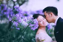 Bộ ảnh cưới Tam Đảo đẹp mê hồn ngập tràn sắc xanh 